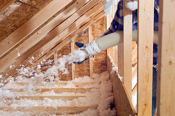 Best Spray Foam Insulation in Morgantown, KY